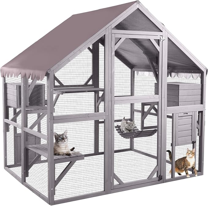 Cat Doors