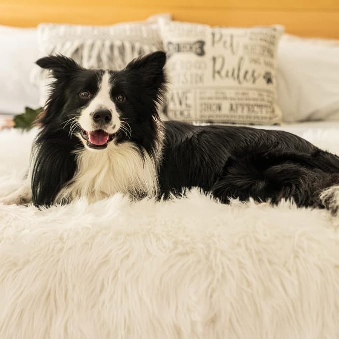 PupProtector Waterproof Throw Blanket - Image 8