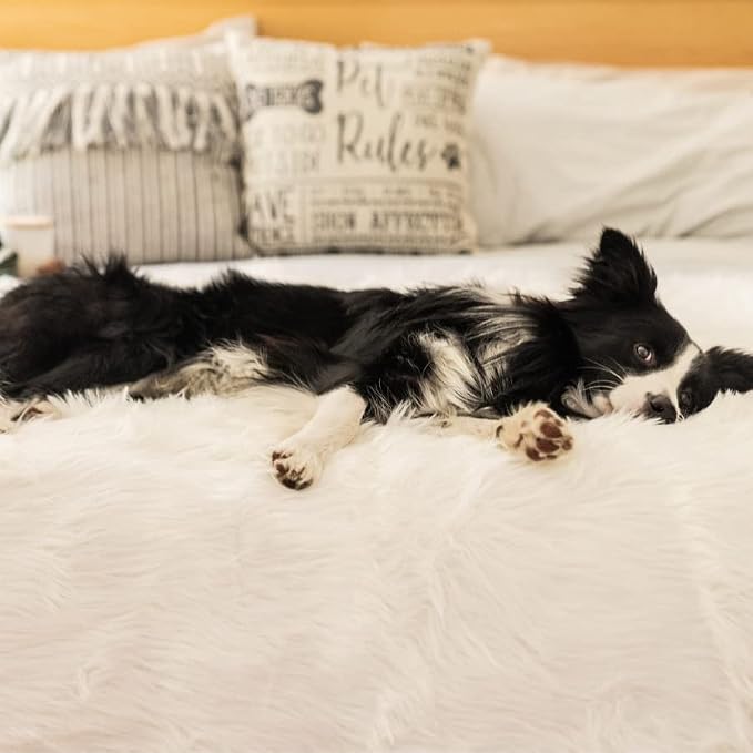 PupProtector Waterproof Throw Blanket - Image 7