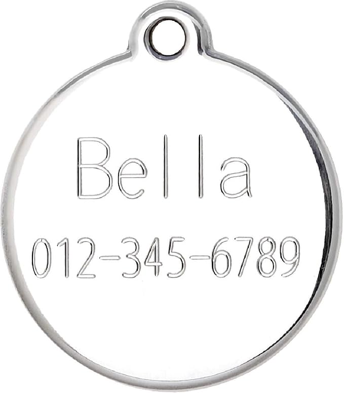 Personalized Pet ID Tags for Kittens and Cats - Image 3