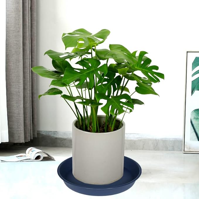 4 Pack of 16 17 inch Plant Saucer, 2.3" Depth, Heavy Duty Deep Plant Trays - Image 6