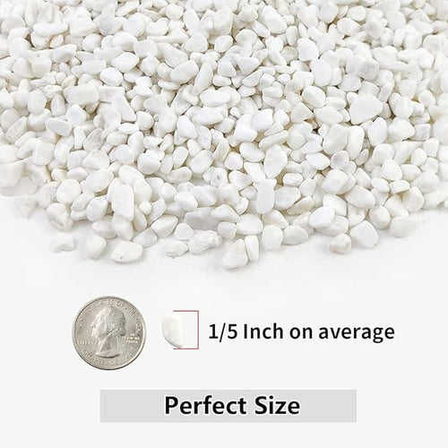 10LB Succulent and Cactus Gravel, 1/5 Inch White Natural Decorative Polished - Image 2
