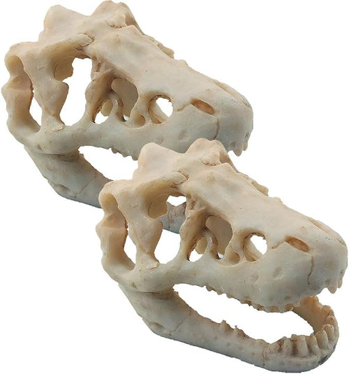 2 Pack Dinosaur Aquarium Decorations Skull Aquarium Ornament Mini Dinosaur Mold by MTGHYARE