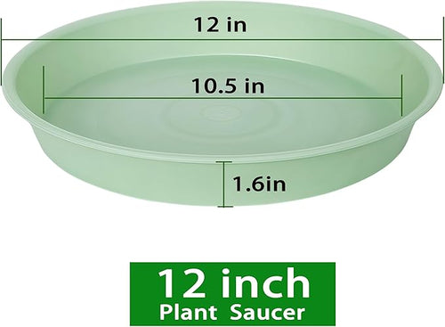 2 Pack of Bird Bath Bowl 12", 1.6" Depth, 10 12 inch Birdbath Bowls Dish Only - Image 2