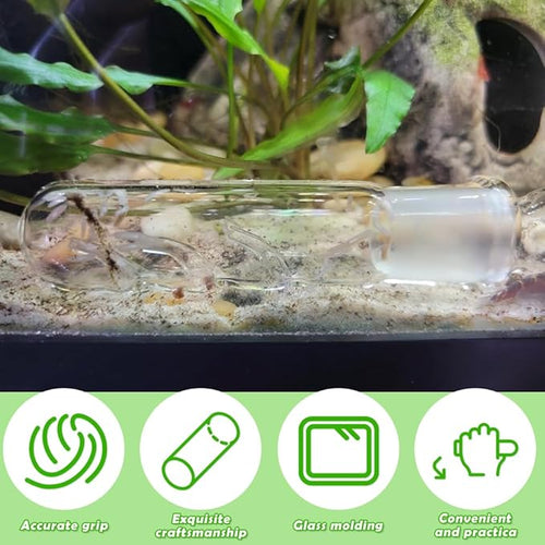 2 Pack Clear Glass Planaria Trap Catch Trap Aquarium Cleaning Supply - Image 2