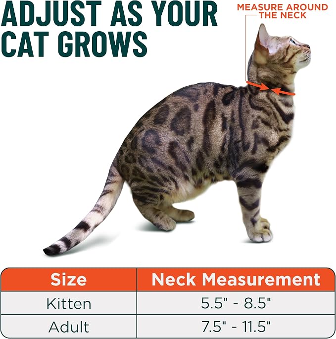 OutdoorBengal Pink Breakaway Kitten Collar - Image 5