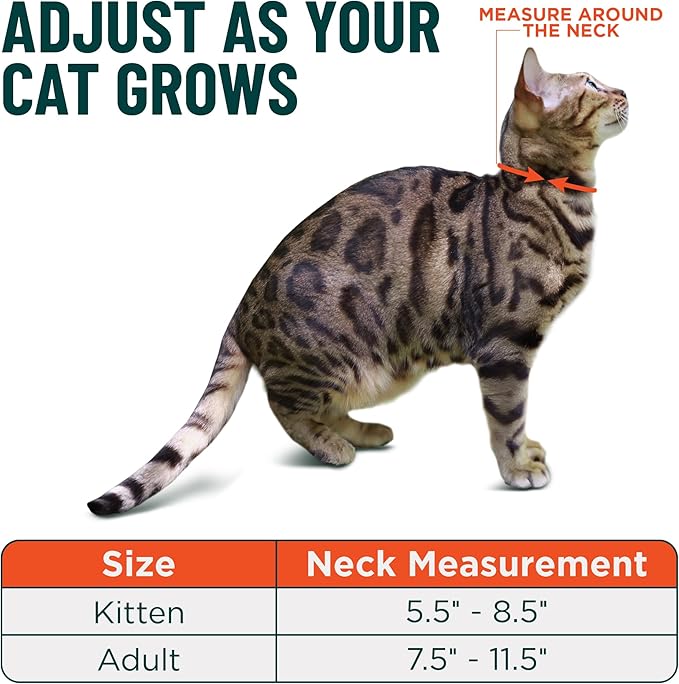 OutdoorBengal Orange Cat Collar Breakaway, Soft Padding - Image 5