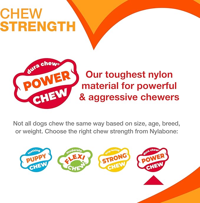 Nylabone Original Bone Power Chew Toy - Image 4