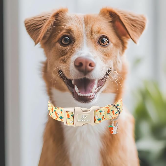 Easter Dog Collar for Puppy Small Dogs - Image 7