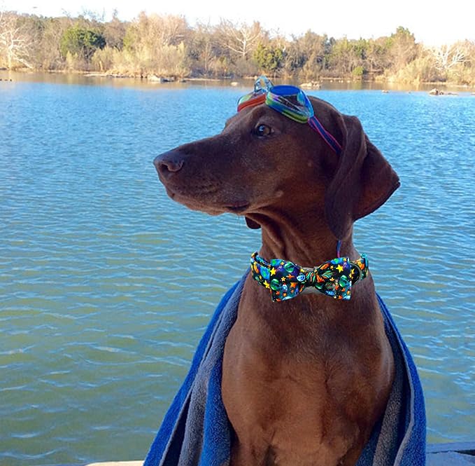 Elegant little tail Dog Collar, Boy Pet Collrs Blue Durable Soft Bowtie Dog - Image 5