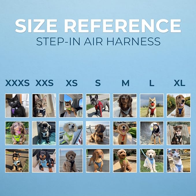 Best Pet Supplies - Image 6
