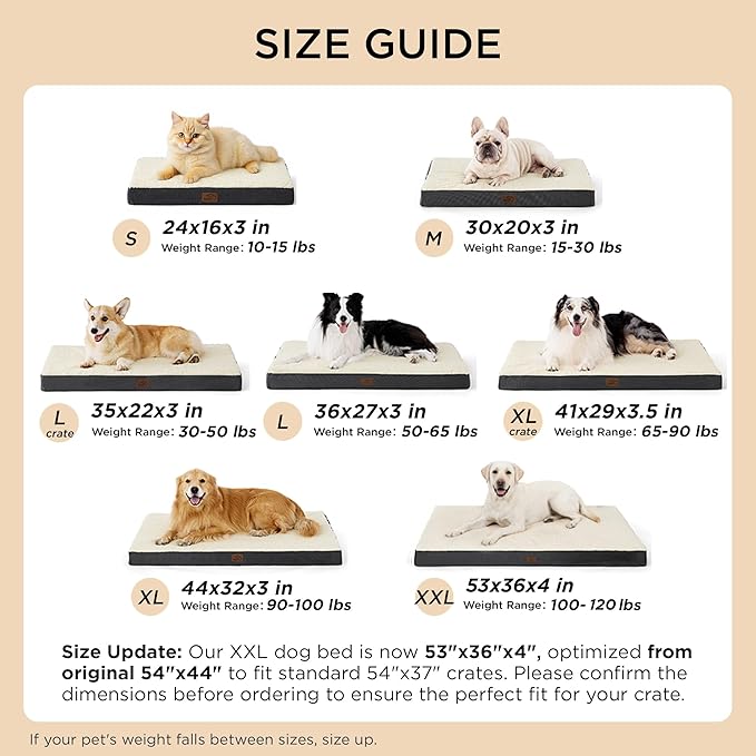 Bedsure XL Dog Beds Large Sized Dog -Comfy Flat Extra Large Pet Beds - Image 6