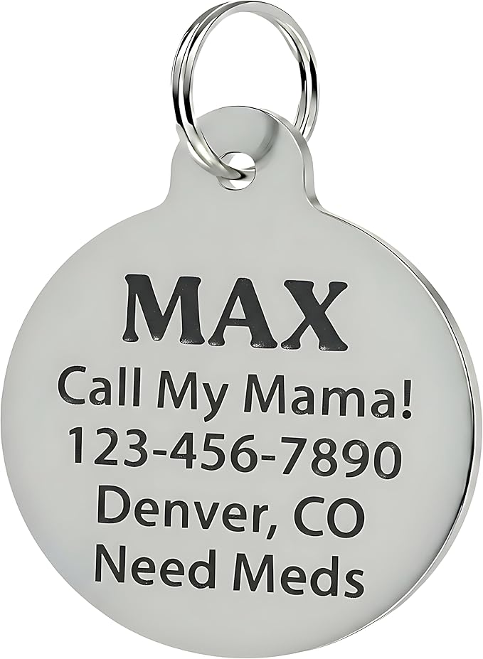 Bad Tags Personalized Dog and Cat ID Tags in 25+ Designs and 2 Sizes - Image 3