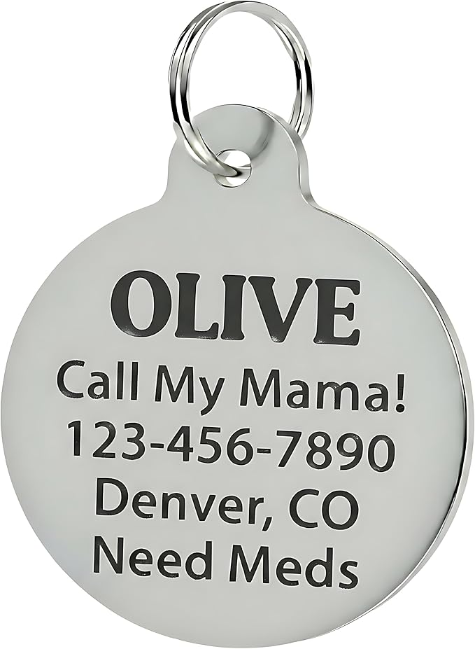 Bad Tags Personalized Dog and Cat ID Tags in 25+ Designs and 2 Sizes - Image 2
