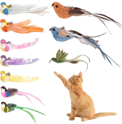 10PCS Cat Bird Toy Refills Feather Cat Wand Attachments by jiafeipet