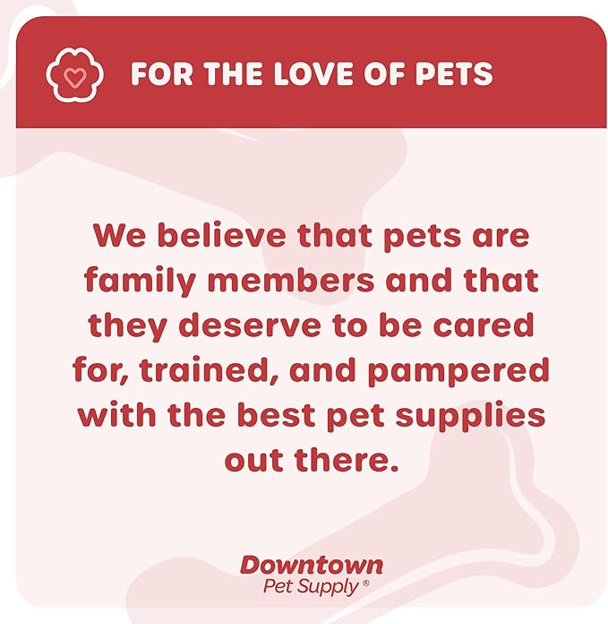 Downtown Pet Supply Step in Dog Harness No Pull, Light Blue - Image 8