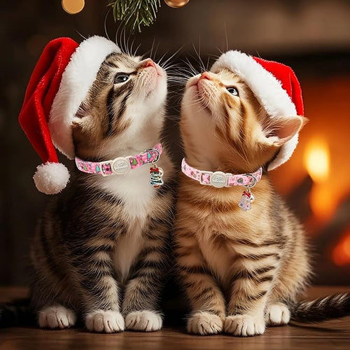 2 Pack Christmas Cat Collars - Image 2