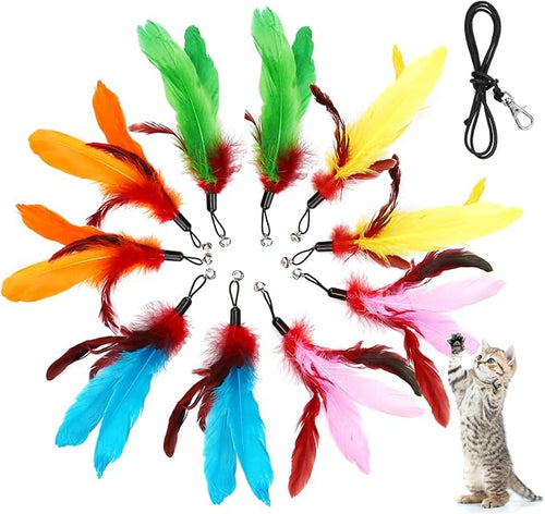 11PCS Cat Feather Toys Refills, Interactive Cat Wand Toy Replacement by MeoHui