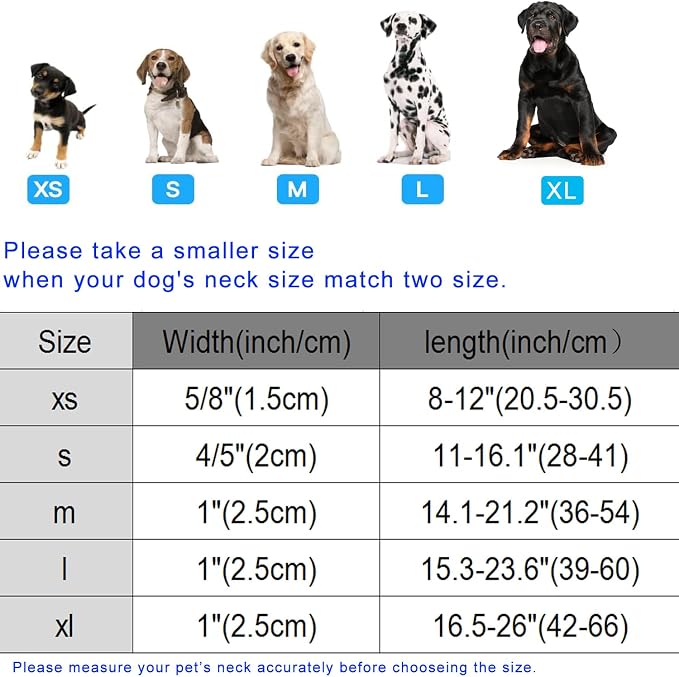 DOGWONG St Patrick's Dog Collar - Image 6