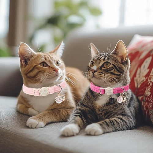 2 Pack Corduroy Cat Collars - Image 2