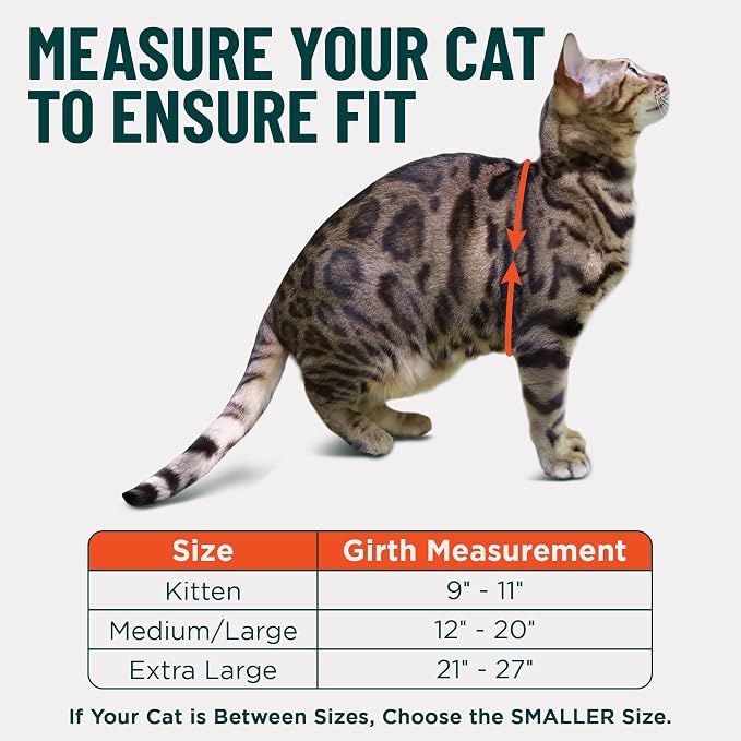 Houdini™ Escape Proof Cat Harness and Leash Set by OutdoorBengal – Black - Image 3