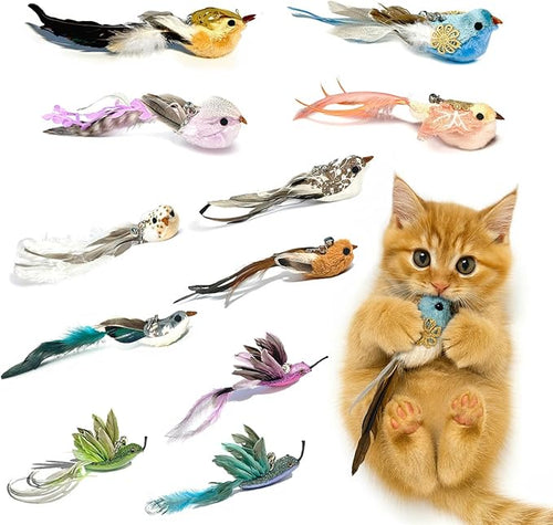 11PCS Realistic Bird Cat Toy Refills – Handmade Feather Cat Toys by ZAYLUMO