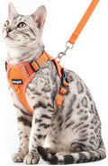 Cat Harness and Leash Escape Proof Small Kitten Harness Abyssinian Cat Vest by pangdi