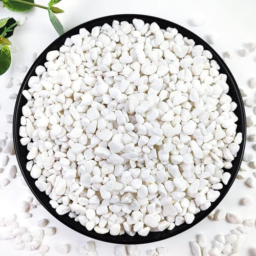 10LB Succulent and Cactus Gravel, 1/5 Inch White Natural Decorative Polished by YISZM-ForYourNaturalLife