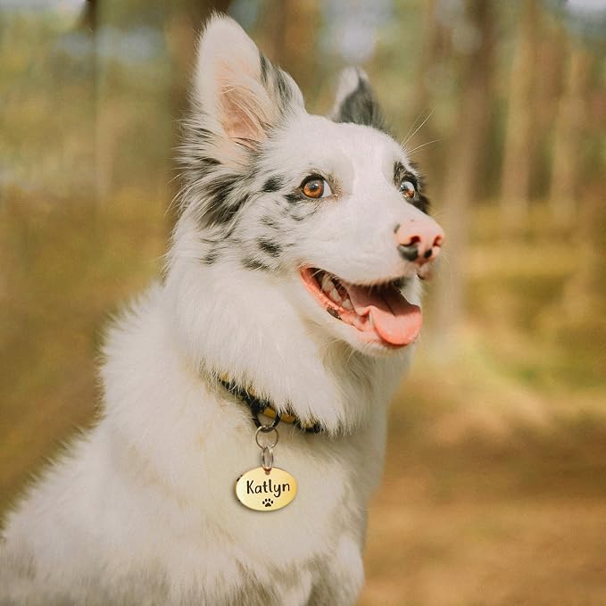 Anavia Small Size Dog Cat ID Tags, Small/XS Personalized Color Plated Stainless - Image 2