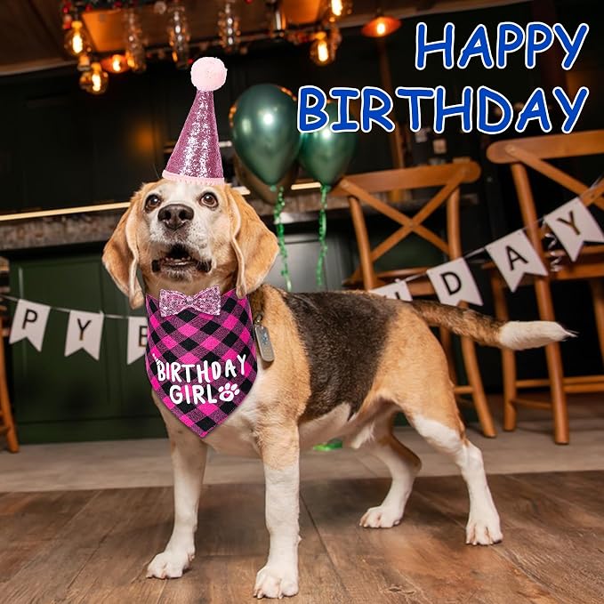 Dog Birthday Party Supplies, Dog Birthday Decorations - Image 6