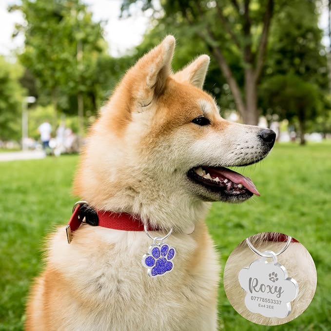 EDSG Cat Dog Tags Personalized for Pets, Dog Name Tags Cat Name ID Tag - Image 5