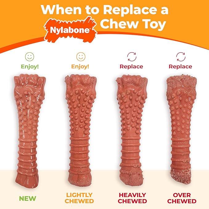 Nylabone Textured Dental Bone Power Chew Toy - Image 8