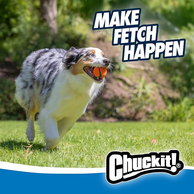 Chuckit! Ultra Ball Dog Toy - Image 5