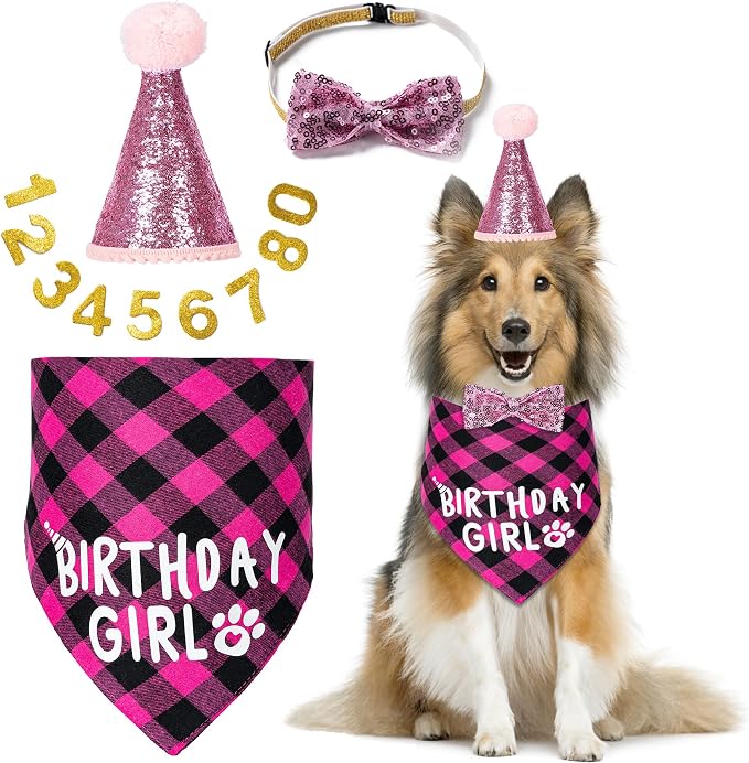 Dog Birthday Party Supplies, Dog Birthday Decorations by Hoewina