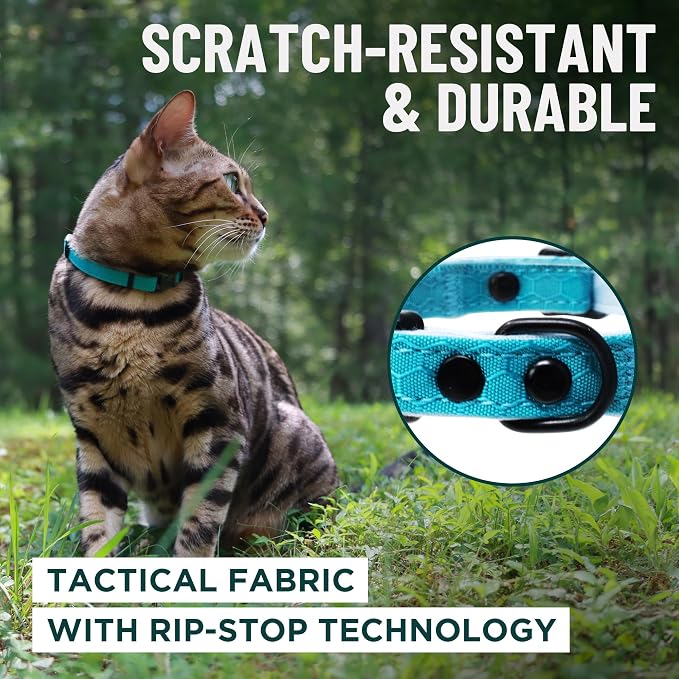 OutdoorBengal Green Breakaway Kitten Collar - Image 4