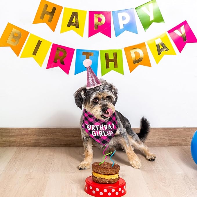 Dog Birthday Party Supplies, Dog Birthday Decorations - Image 7