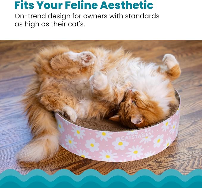 Catstages Scratch & Snuggle Daisy Two-in-One Corrugated Cat Scratcher and - Image 3
