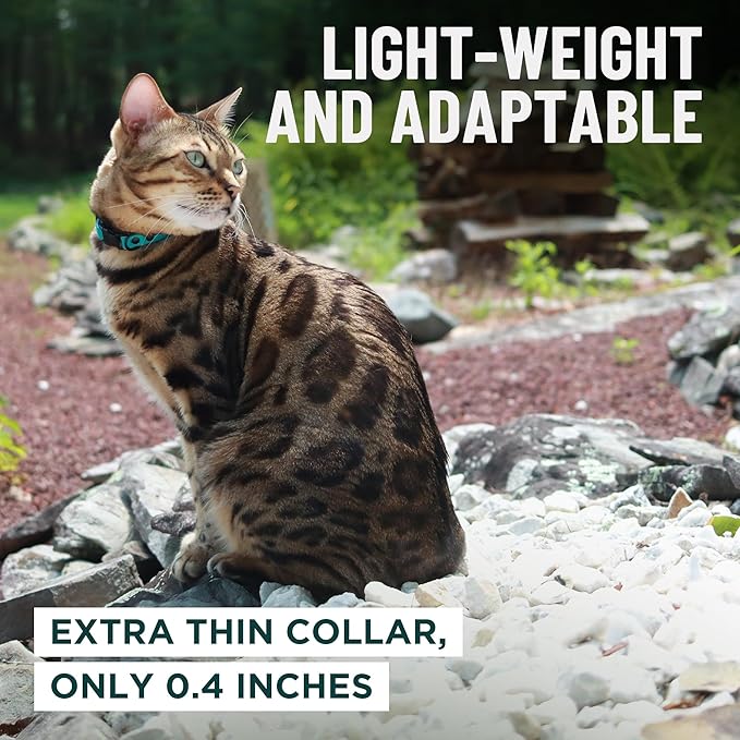 OutdoorBengal Blue Cat Collar Breakaway - Image 6