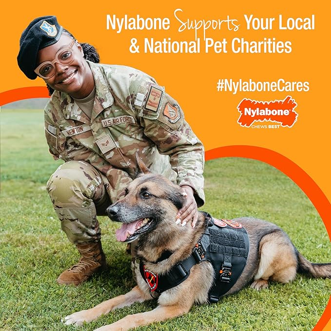 Nylabone Gourmet Style Femur Bone Strong Chew Toy - Image 12