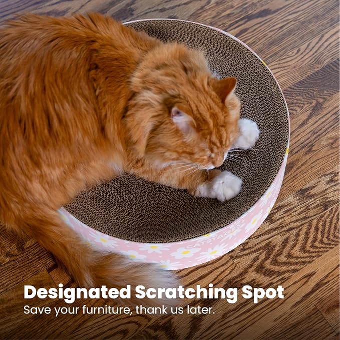 Catstages Scratch & Snuggle Daisy Two-in-One Corrugated Cat Scratcher and - Image 5